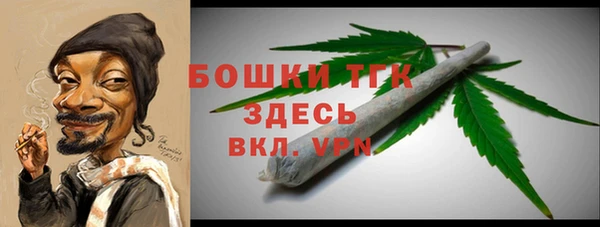 гидра Абаза
