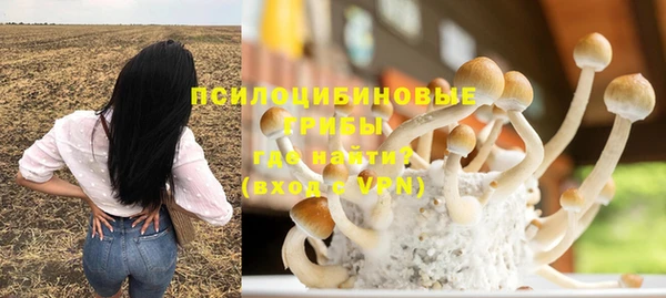 мяу мяу мука Алзамай