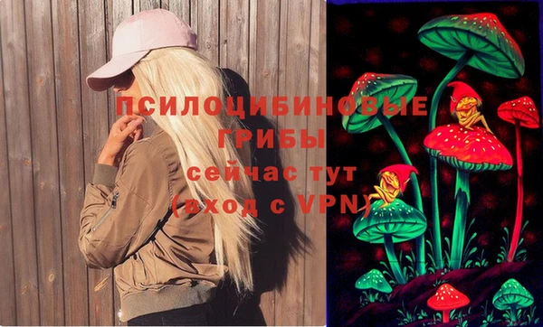 метадон Алексеевка