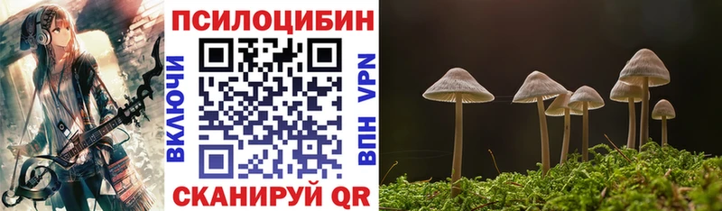 наркотики  Тихвин  Псилоцибиновые грибы Psilocybe 